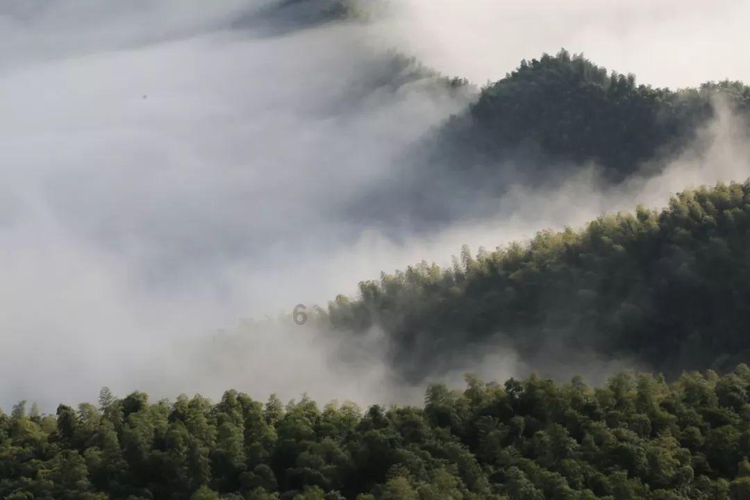卡通世界杯找不同